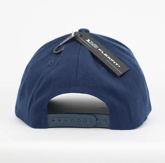 110 Frame Cap 110A
